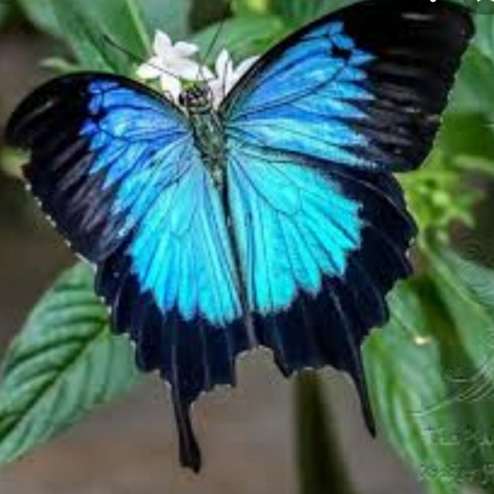 Meet your Posher, Joanna